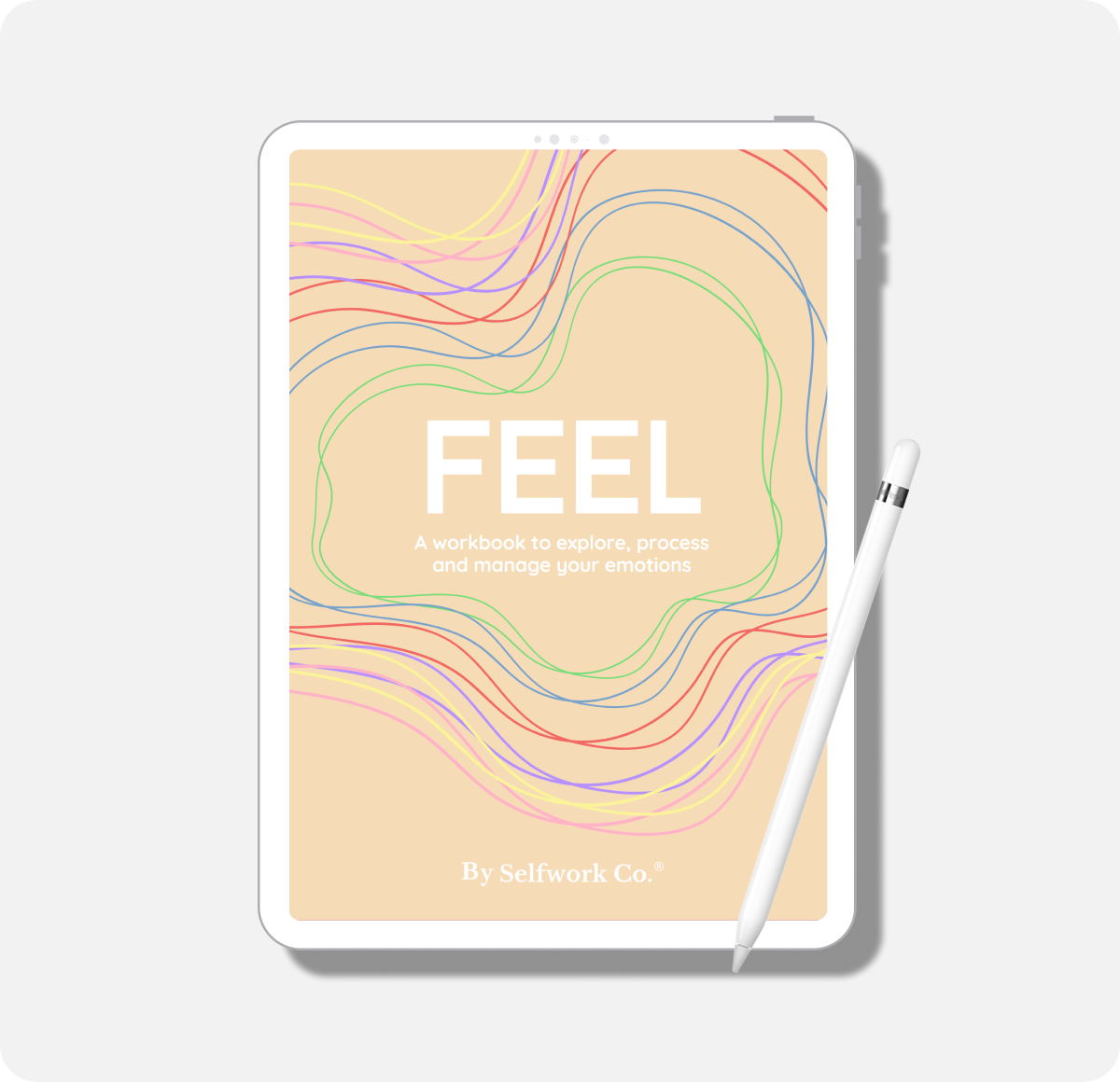 Feel (E-book)