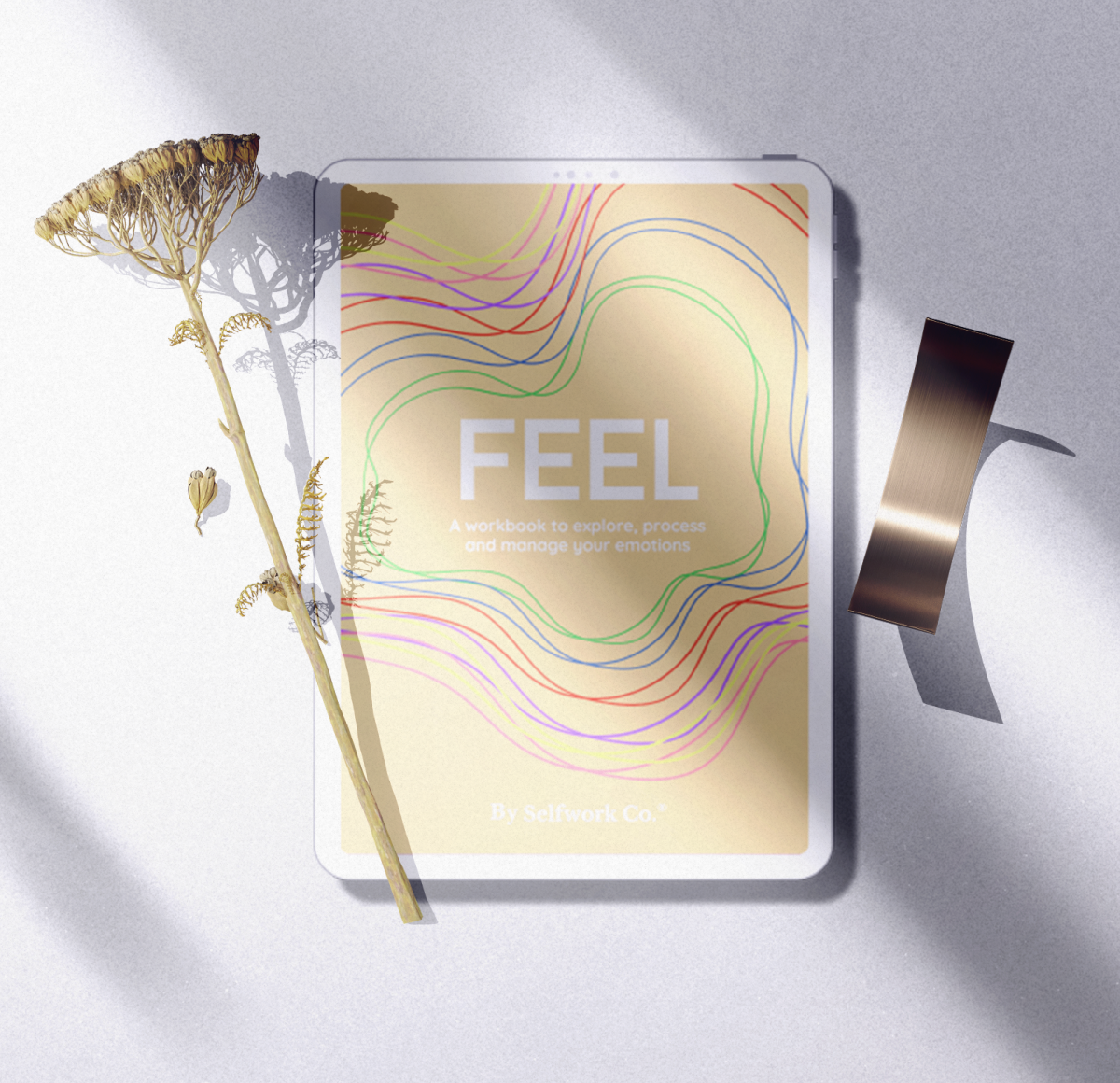 Feel (E-book)