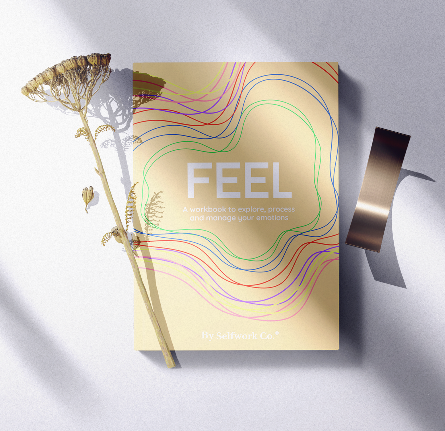 Feel (Hardcover)