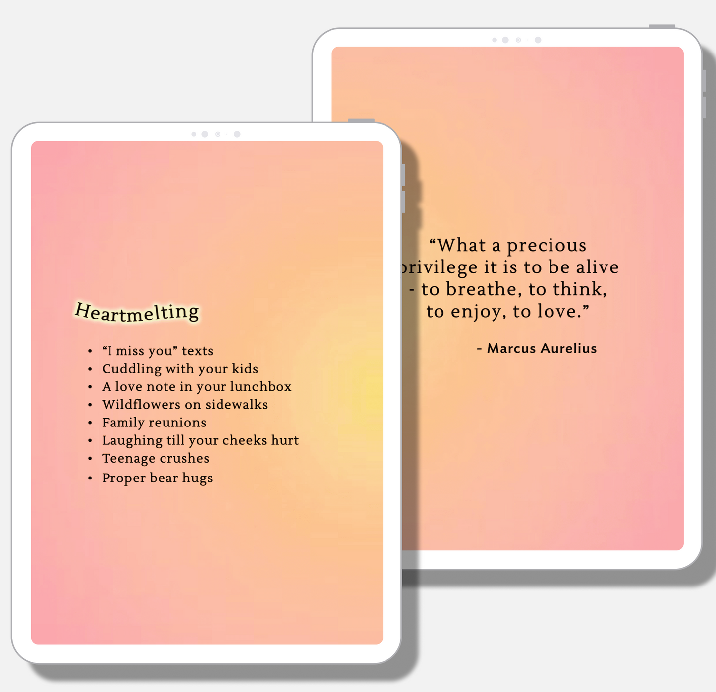 SelfWork Co. Gratitude Journal digital spread showing heartwarming prompts and Marcus Aurelius quote on pastel background